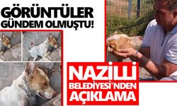 O görüntüler gündem olmuştu! Nazilli Belediyesi'nden açıklama