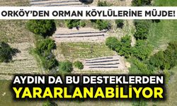 ORKÖY'den orman köylülerine müjde! Aydın'da destek kapsamında