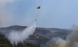 Orman yangınlarında bilanço ağır: 69 şüpheliden 15’i tutuklandı