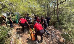 Ormanlık alanda hareketsiz bulunmuştu, acı haber geldi