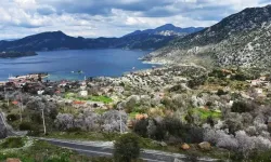 Akdeniz beşik gibi sallanıyor! Uzman isimden kritik açıklama geldi