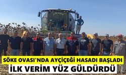 Söke Ovası’nda ayçiçeği hasadı başladı! İlk verim yüz güldürdü