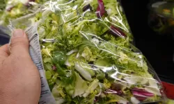 Paketli Hazır Salatalarda Gizli Tehlike: Bakteriler Plastik Yüzeylerde Çoğalıyor