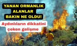 Küle dönen ormanlık alanlarda örnek çalışma