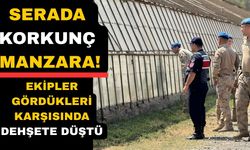 Kayıp olarak aranan genç serada ölü bulundu
