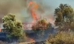 Aydın'da yine yangın çıktı!