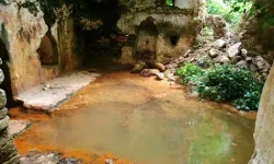 Aydın'ın gizli şifa merkezleri: Hastalıklara derman oluyor