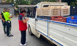 Aydın’da kuru incir denetimleri sıkılaştırıldı