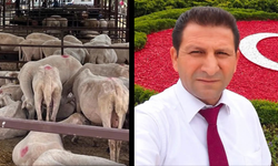 Aydın'da hayvan pazarlarının kapatıldığı açıklandı