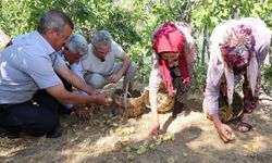 Çaylı ve Derebaşı’nda halk buluşması