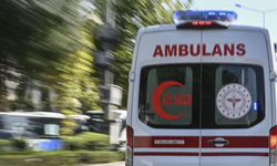 Aydın'da kıyıya dalgıç kıyafetli cansız beden vurdu
