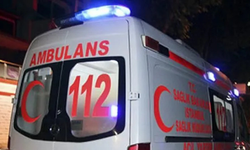 Sulama kanalına düşen kardeşlerden birisi can verdi