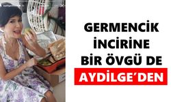 Germencik İnciri ünlülerin dilinde
