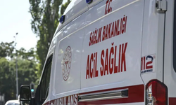İncir bahçesinde ağır yaralanan adam kurtarılamadı