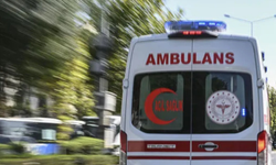 Koyun sürüsüne çarpan genç adam kurtarılamadı