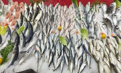 Nazilli Balık Hali’ne enflasyon uğramadı!