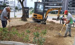 Nazilli’de kış mesaisi başladı! 82 mahallede çalışma