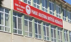 Nazilli’de o kuruma jandarma operasyonu! Müdür dahil 4 kişi gözaltında