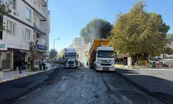 Aydın’da eş zamanlı çalışma: İşte o ilçeler