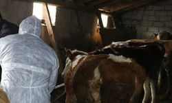 Aydın'daki 137 mahalleye uyarı yapıldı