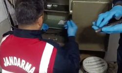 Aydın’ın da aralarında olduğu 32 ilde operasyon