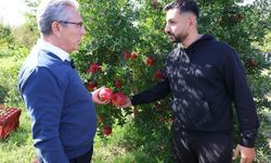 Başkan Tetik Bereketli’de  nar üreticileriyle buluştu
