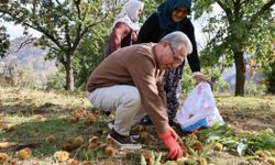 Başkan Tetik kestane üreticileriyle buluştu