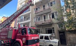 Aydın itfaiyesinden kedi operasyonu