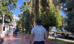 Aydın’da o yol trafiğe kapatıldı! Sürücüler dikkat