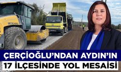 Çerçioğlu’ndan Aydın’ın 17 ilçesinde yol mesaisi