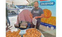 Aydın’da çıntar tezgaha düştü! Fiyatı dikkat çekti