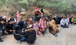 Jandarmadan operasyon! 37 kişi yakalandı, 1 kişi tutuklandı