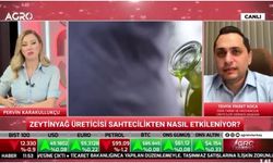 "Aydın'da sahtekarlar kazanırken, üretici ve ve şehrin itibarı zarar görüyor"