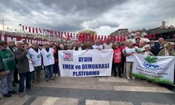 Aydın’da JES tepkisi büyüyor! “Artık yeter” diyerek 3 bin imza topladılar