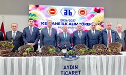 Aydın kestanesinde sezon açıldı! 600 TL’den alındı