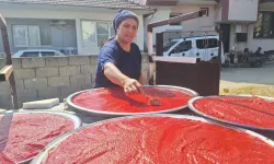 Aydın'da kışlık salça hazırlamanın maliyeti belli oldu: İşte pazardaki fiyatlar