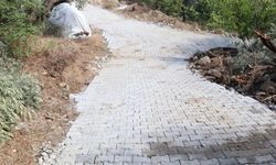 Kamışlar'da yollar yenileniyor