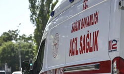 Baba ve oğlu yan yana son nefesini verdi
