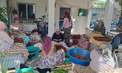 Söke'nin köylerinde komşuluk dayanışması