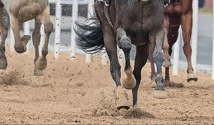 TJK Başkanı Serdal Adalı, atçılıkta "VAR" sisteminin uygulanacağını açıkladı