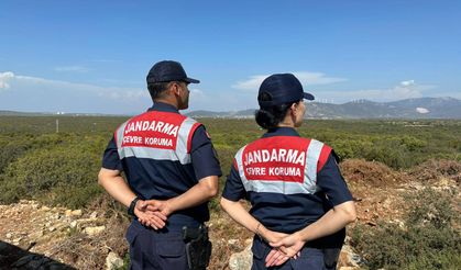 Köşk’te çiftçilere tarımsal ürün hırsızlığına karşı uyarı