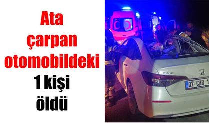Ata çarpan otomobildeki 1 kişi öldü