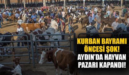 Kurban Bayramı öncesi şok! Aydın’da hayvan pazarı kapandı!