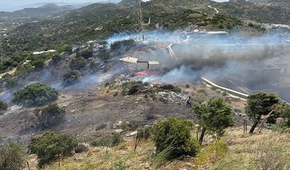 Bodrum'daki yangına müdahale sürüyor