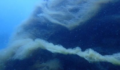 Mersin Körfezi'nde inceleme yapan dalgıçlar su altındaki müsilajı görüntüledi