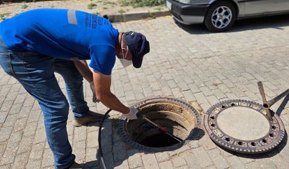 Efeler Belediyesi kent zararlılarına karşı mücadeleyi sürdürüyor