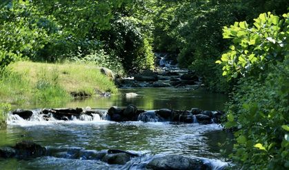 Türkiye'nin korunan alanları 2030'a kadar yüzde 30'a yükseltilecek
