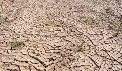 Kuraklık 2050’ye kadar 1 milyar kişiyi yerinden edebilir