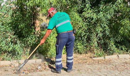 Efeler’de çevreye tam mesai: Yeşil ekipler sahada