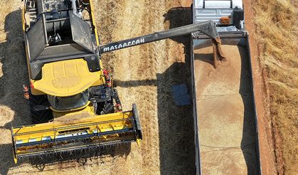 Buğdayda yüzde 15, arpada yüzde 30 rekolte kaybı bekleniyor